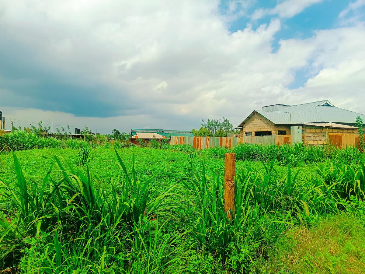 500 m² Residential Land at Ngamba - 11