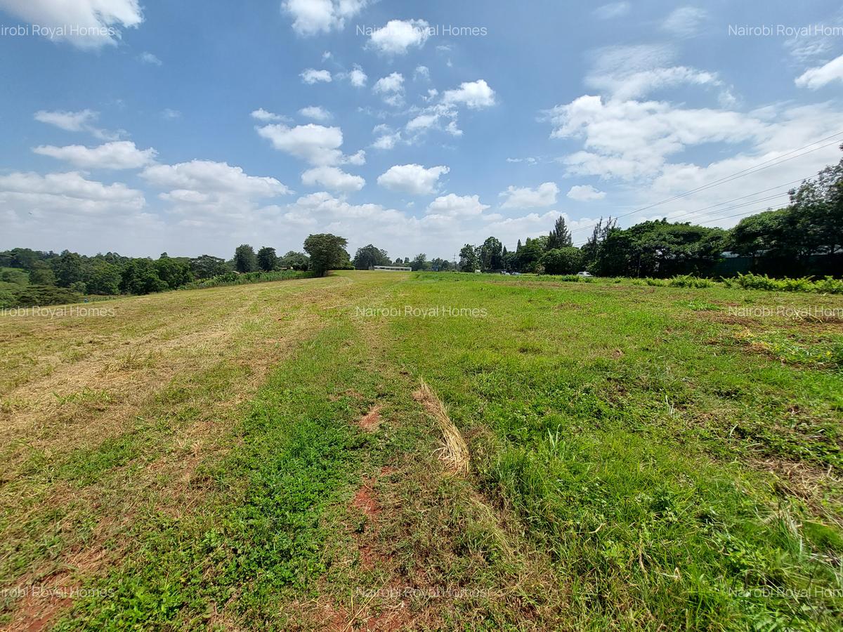 Commercial Land at Redhill Road - 5