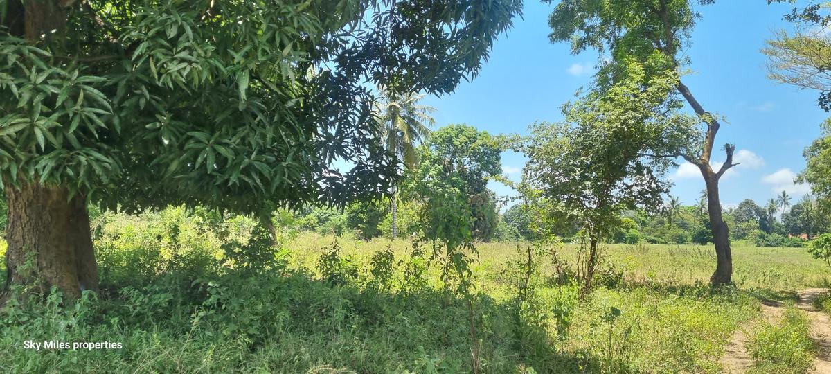 6 ac Land at Mtepeni - 5