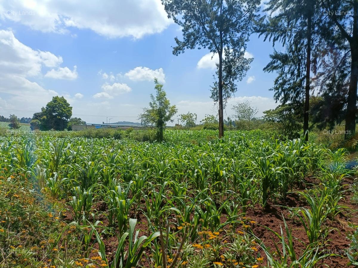 440 m² Residential Land at Limuru Uplands - 1