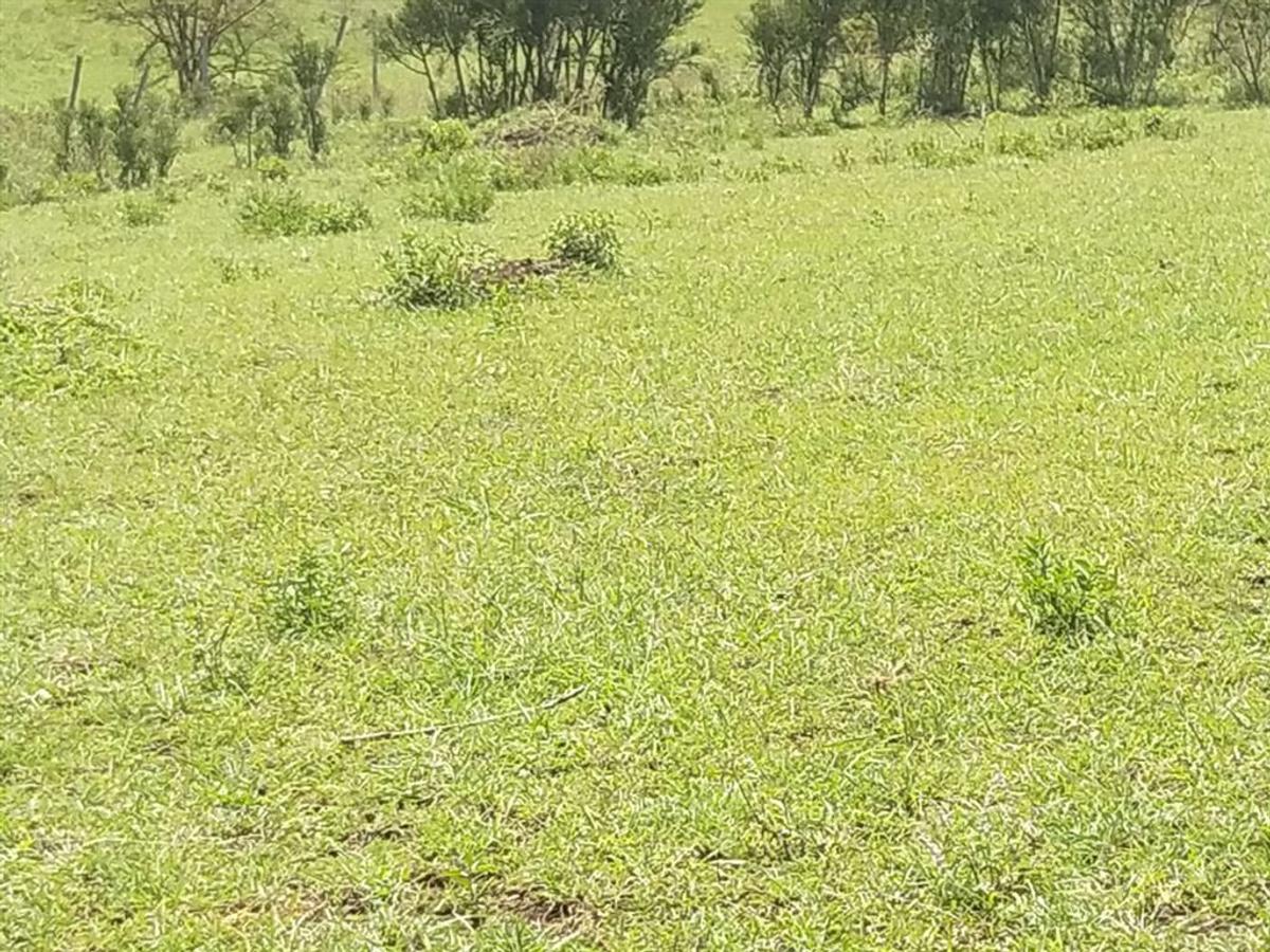 0.113 ac Land in Ngong - 3