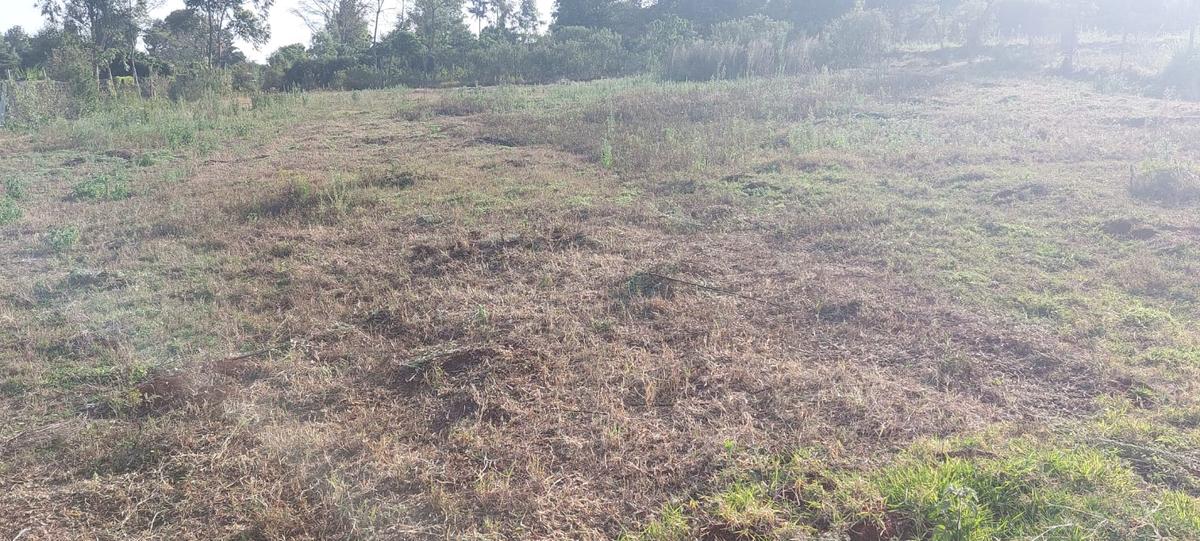 0.5 ac Residential Land at Near Gichuru High School - 5