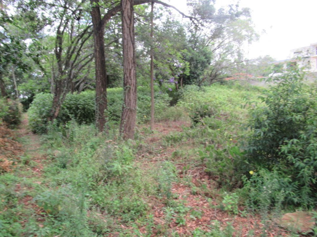 Land at Bogani Rd - 9