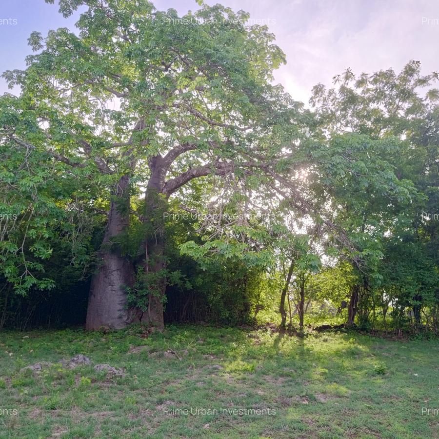 90 ac Residential Land at Kuruwitu-Vipingo - 2