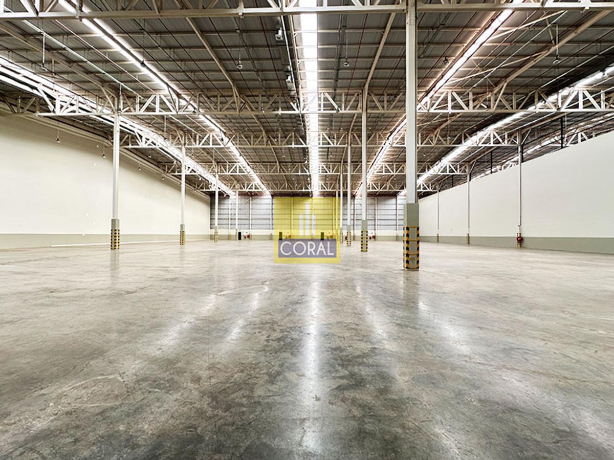 Warehouse in Tatu City - 2