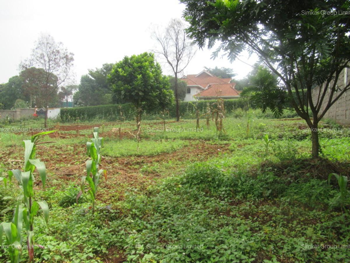 Residential Land at Runda - 2