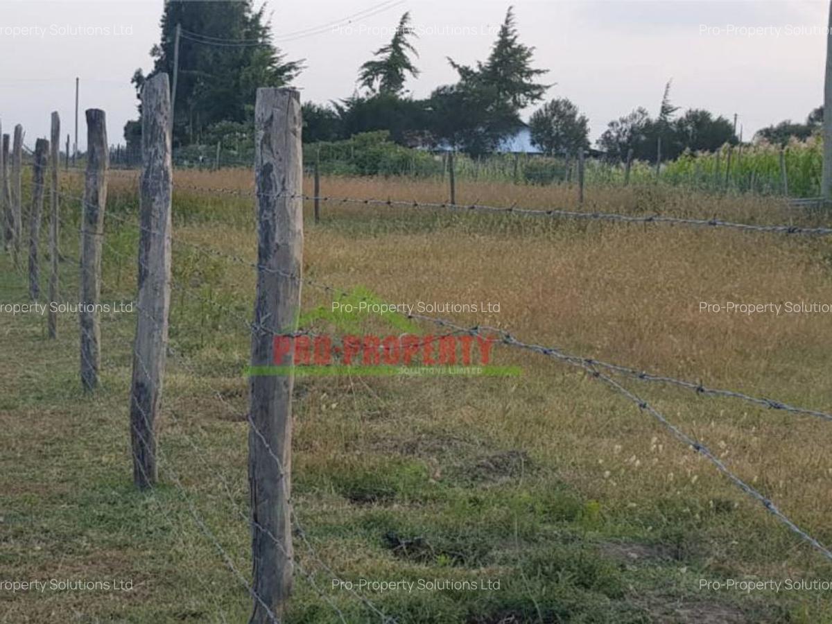500 m² Land in Nanyuki - 7