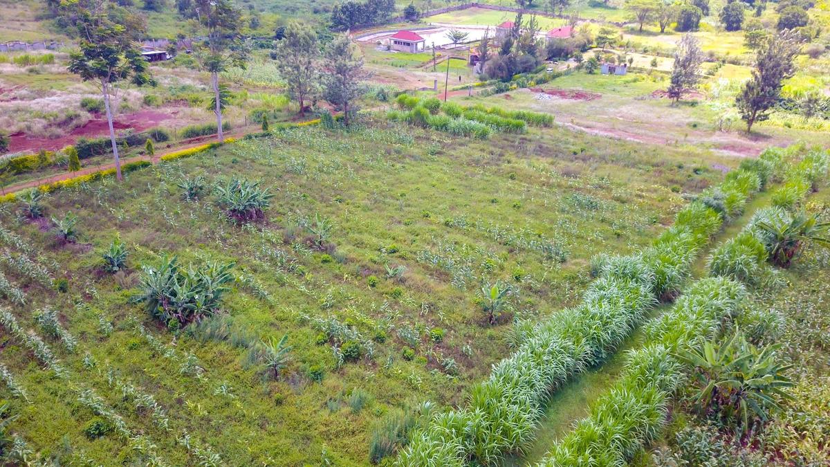 Residential Land in Thika - 4