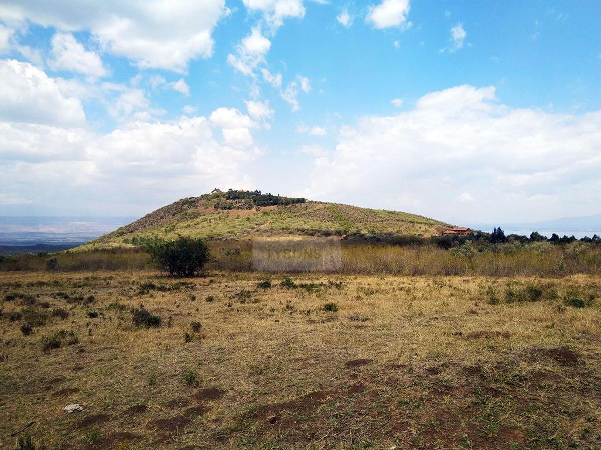 20,235 m² Land in Naivasha - 1