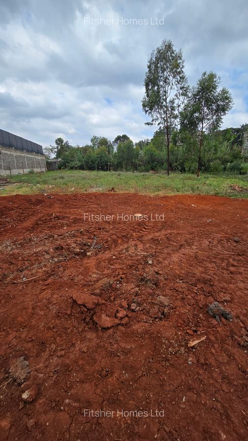 0.5 ac Residential Land in Ridgeways - 17