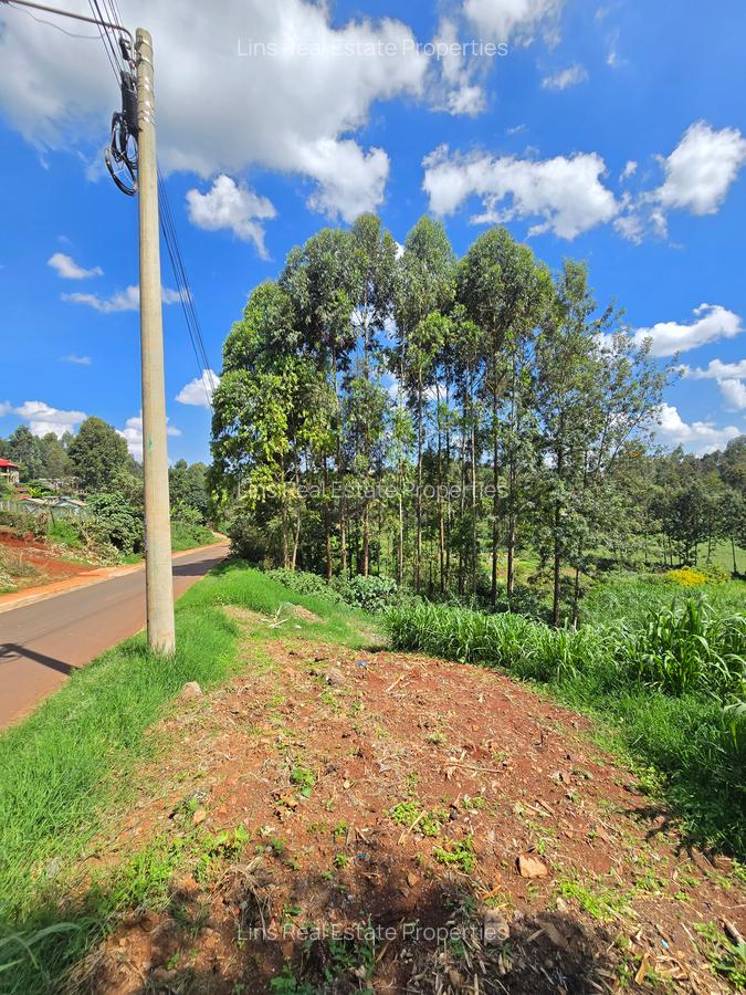 Residential Land in Kitisuru - 13