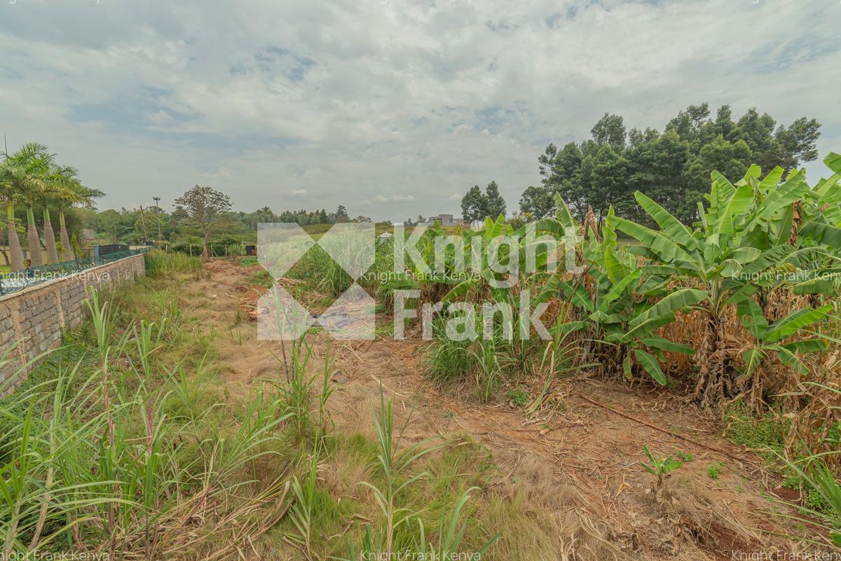 0.5 ac Land at Runda Evergreen - 1