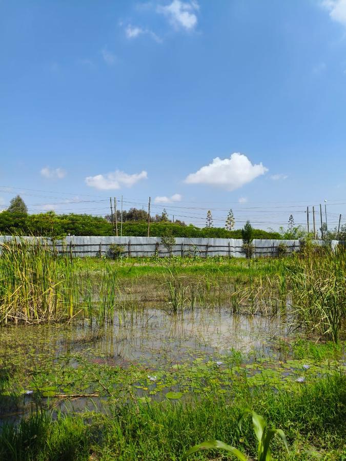 Residential Land at Karen - 15