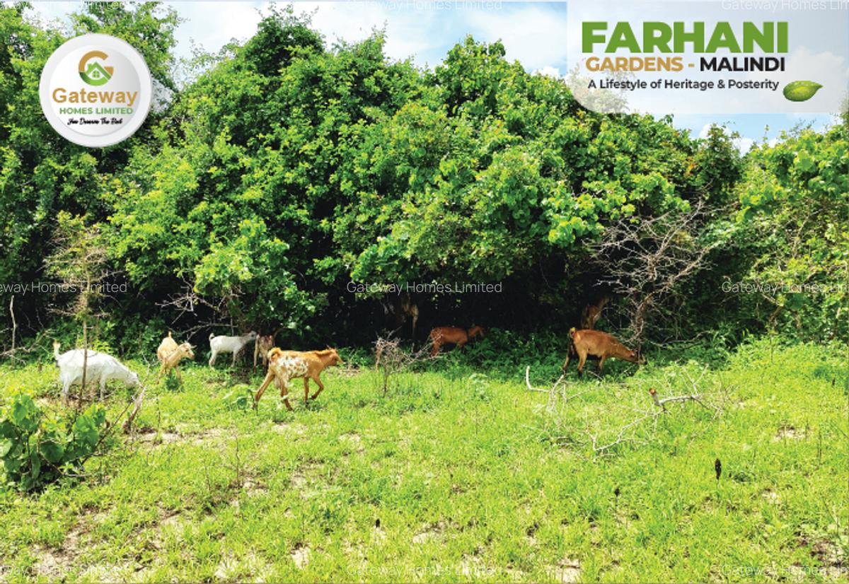 1 ac Residential Land in Malindi - 10