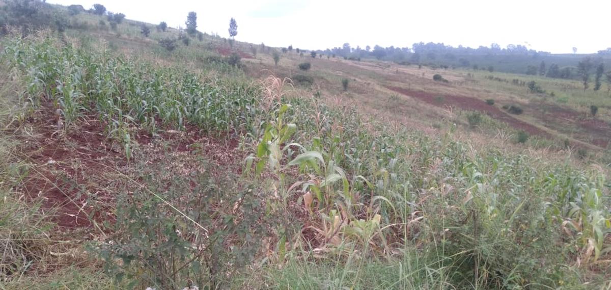 64,000 ft² Land at Kiambu Riabai - 7