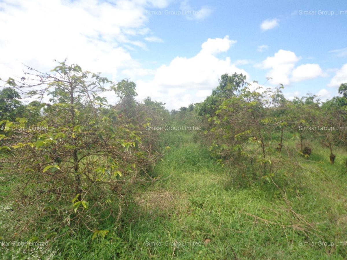 Land at Thika-Gatanga Rd - 6
