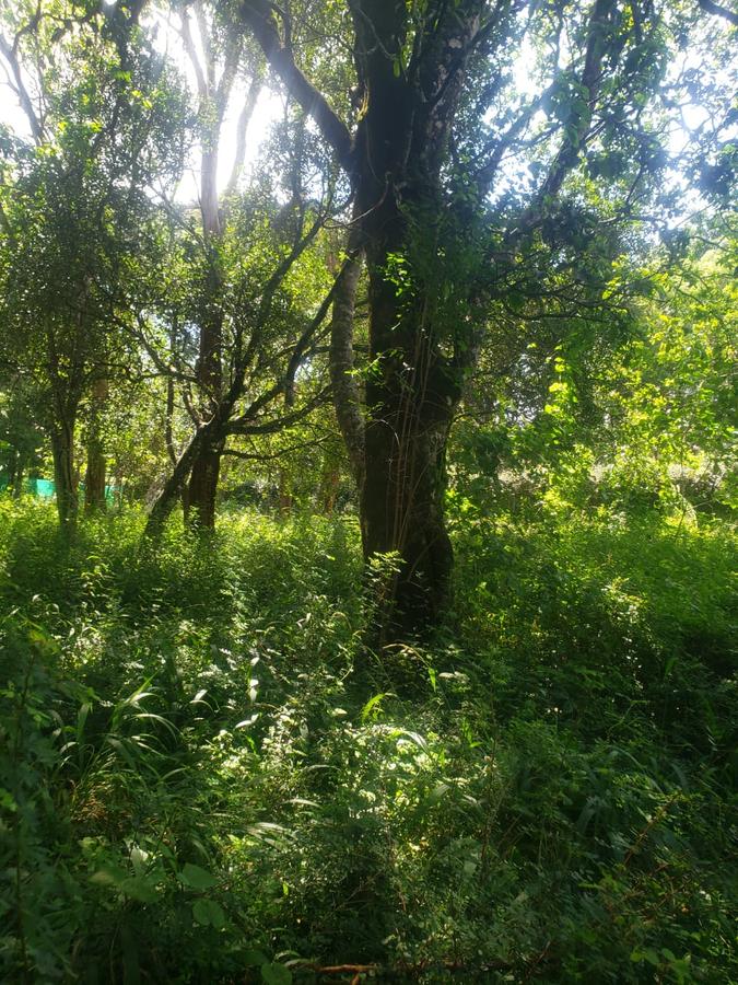 0.5 ac Land in Karen - 4