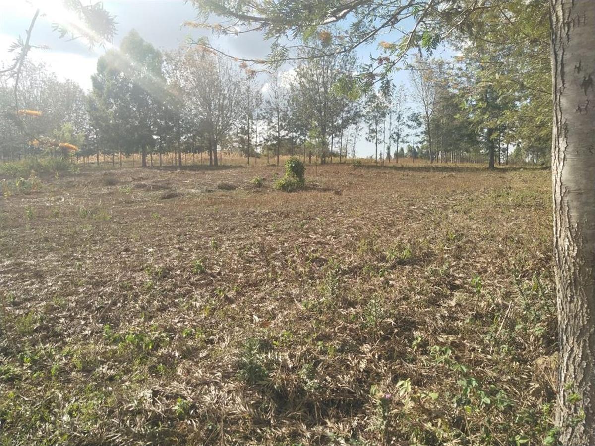 500 m² Residential Land in Ngong - 5