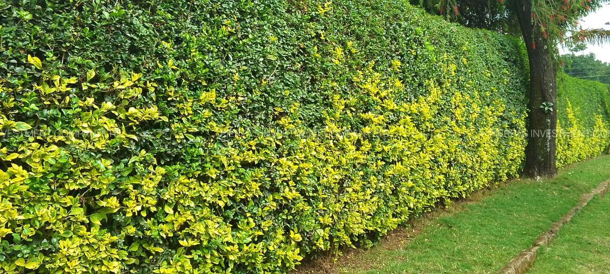 4 Bed Townhouse with En Suite in Garden Estate - 17