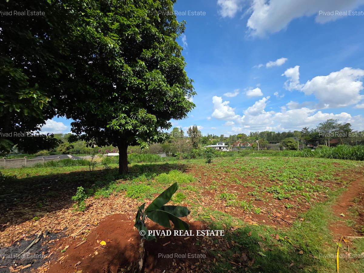 5.7 ac Land in Runda - 3