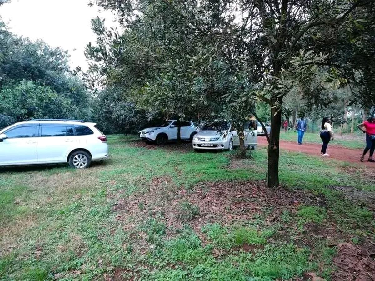 50 ft² Residential Land at Juja - 8