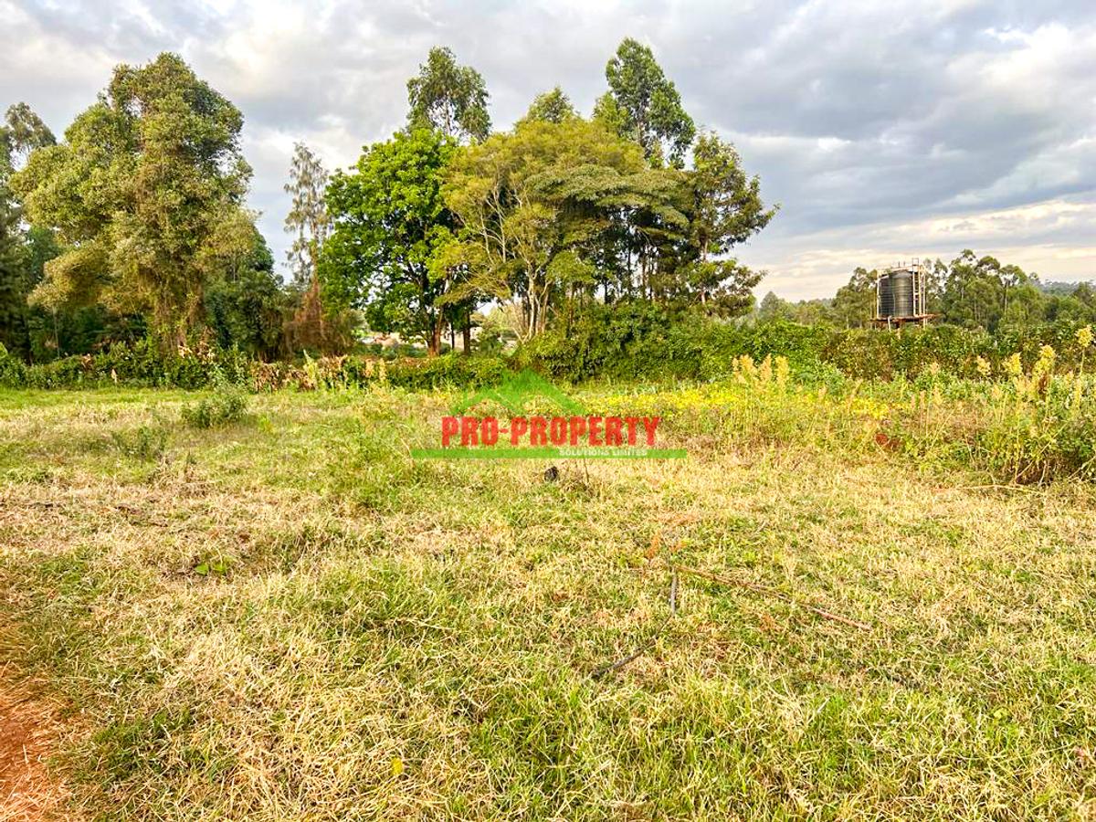 0.05 ha Residential Land at Ondiri - 12