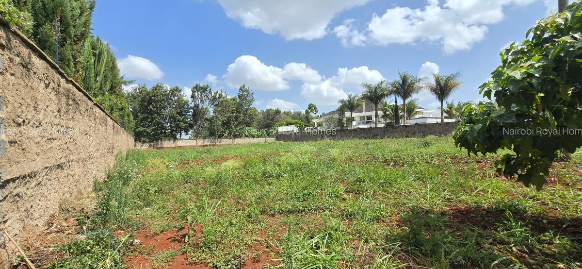 Residential Land at Runda Road - 12