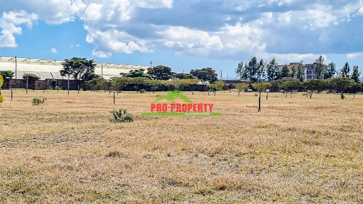 0.05 ha Residential Land in Naivasha - 8