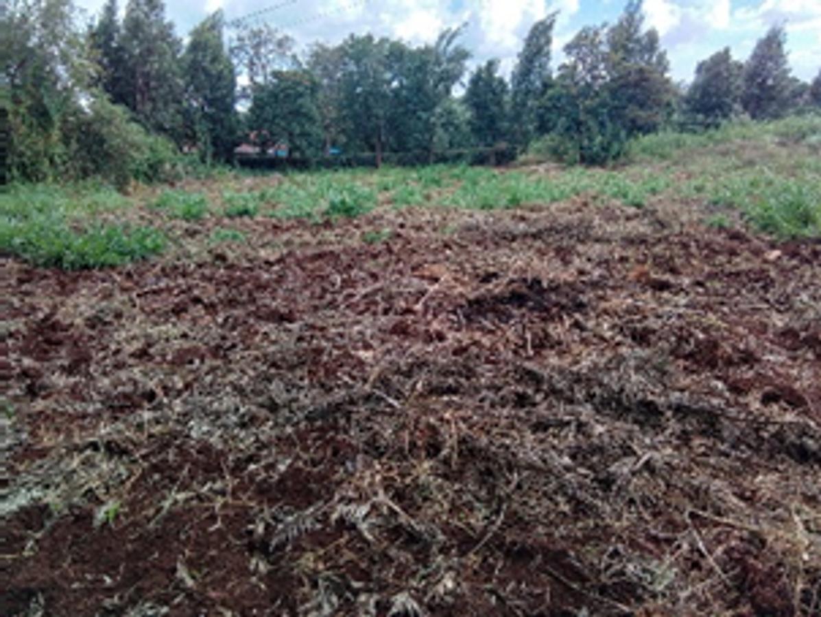 Land in Kikuyu Town - 6