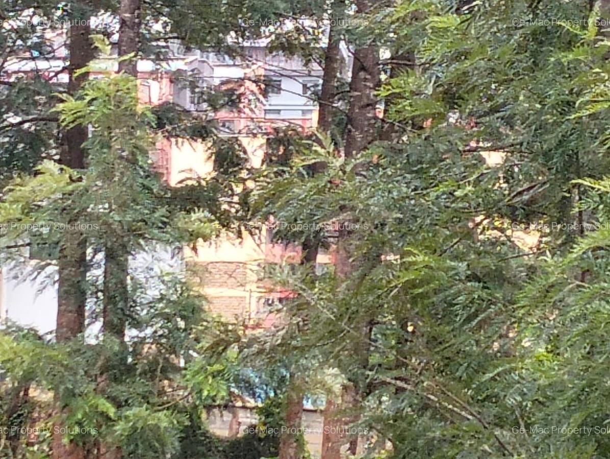 Land at Kirawa Road - 3