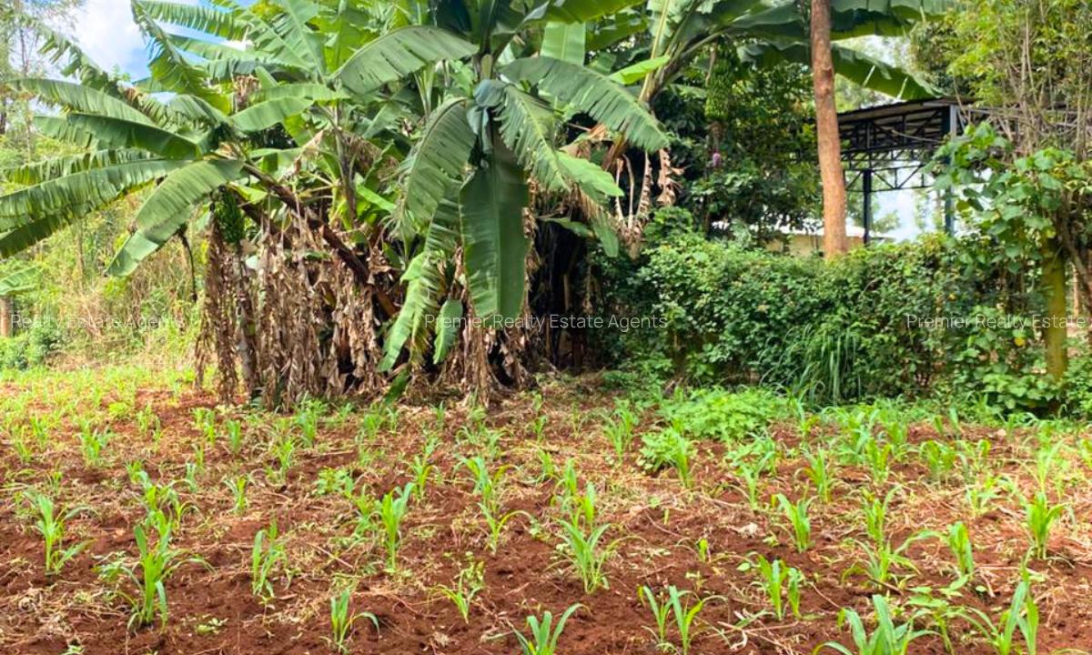 1 ac Land at Muchatha - 6