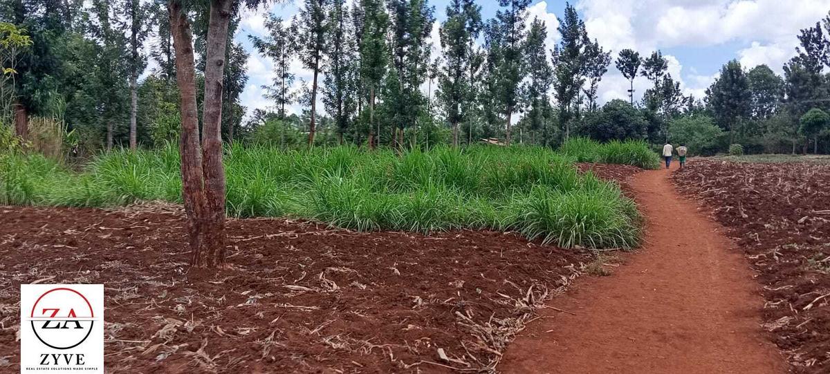 3 ac Land at Kenol - Thika Road - 4