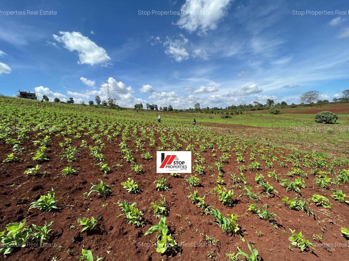 Land in Kiambu Town - 1