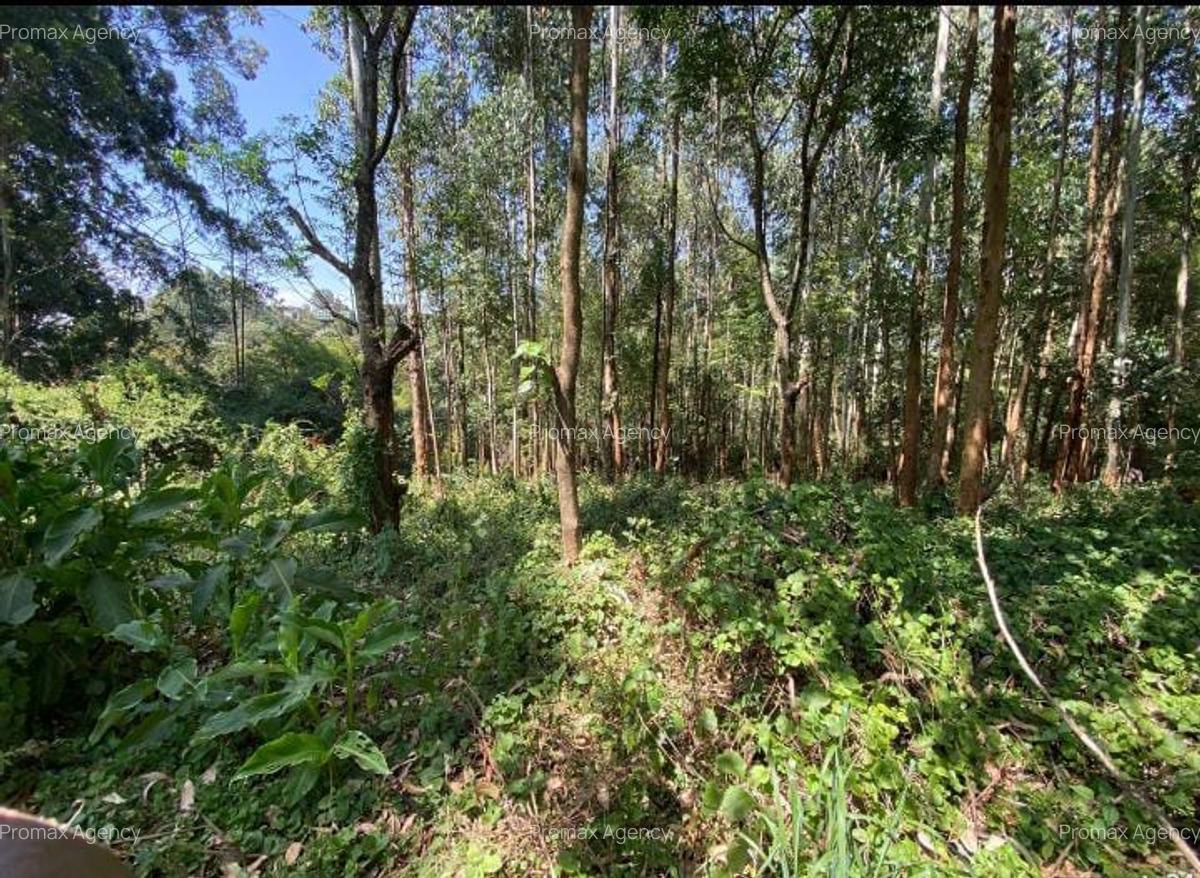 Land in Kitisuru - 2