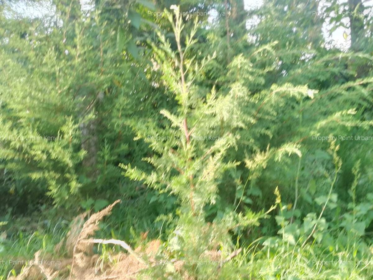 2.5 ac Land at Village (Mbiriri Muthaiga) - 13