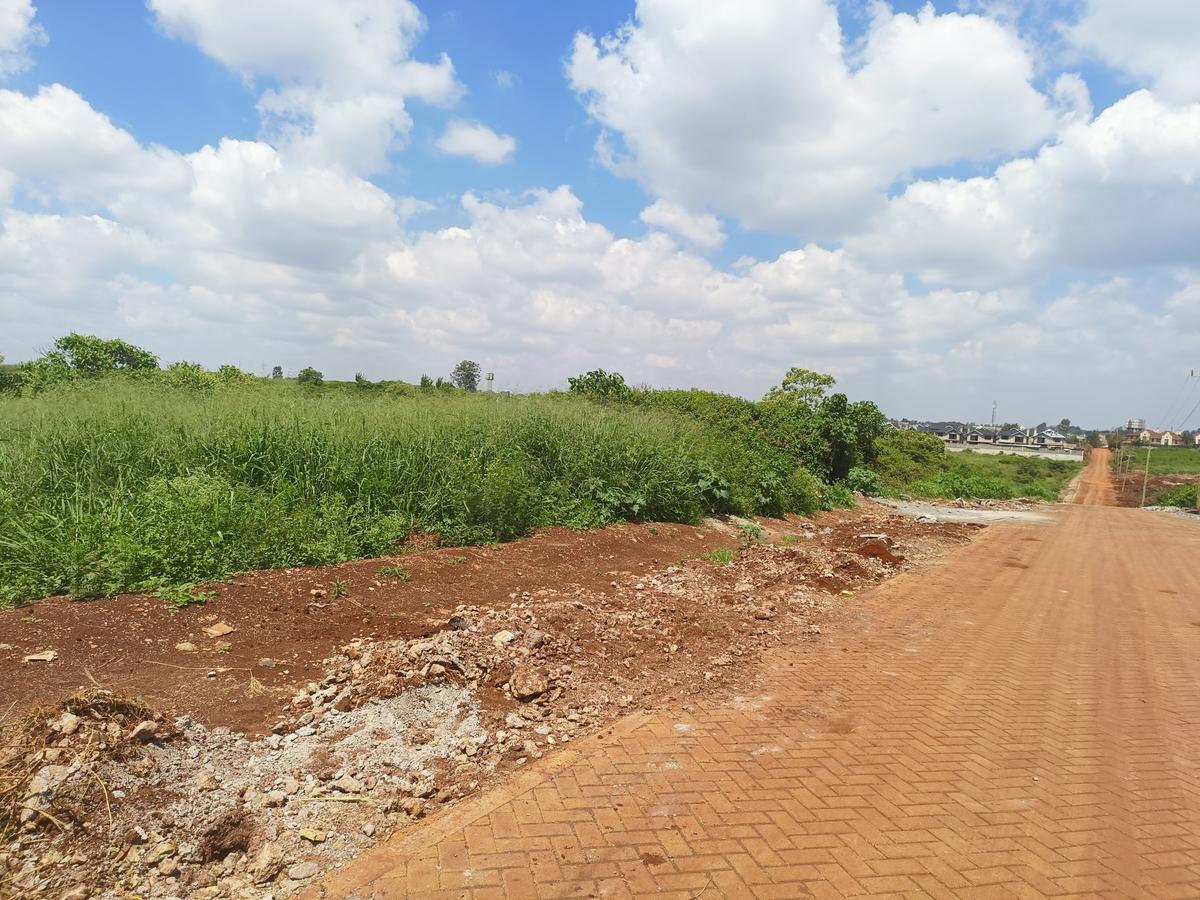 25 ac Land at Off Paradise Lost Road - 8