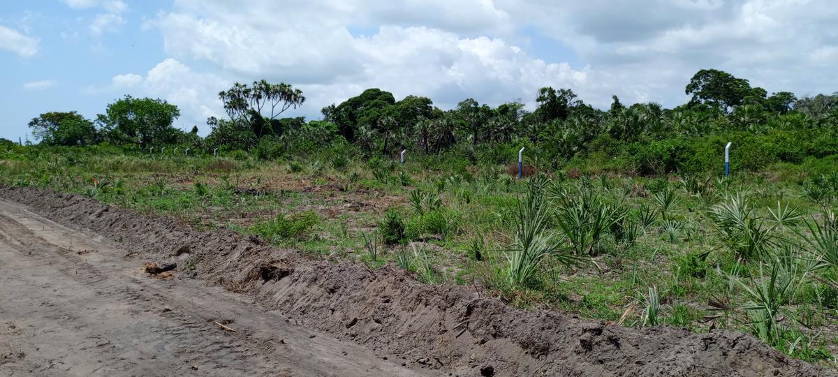 505 m² Residential Land at Mwabungo - 4