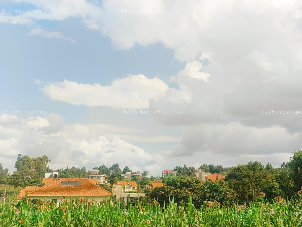 1,000 m² Residential Land at Riu-Nderi - 13