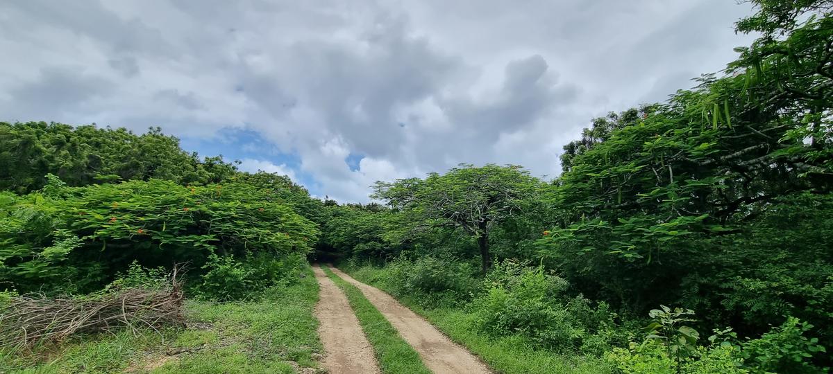 15 ac Land at Kuruwitu - 4