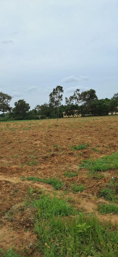 Residential Land in Kilifi - 2