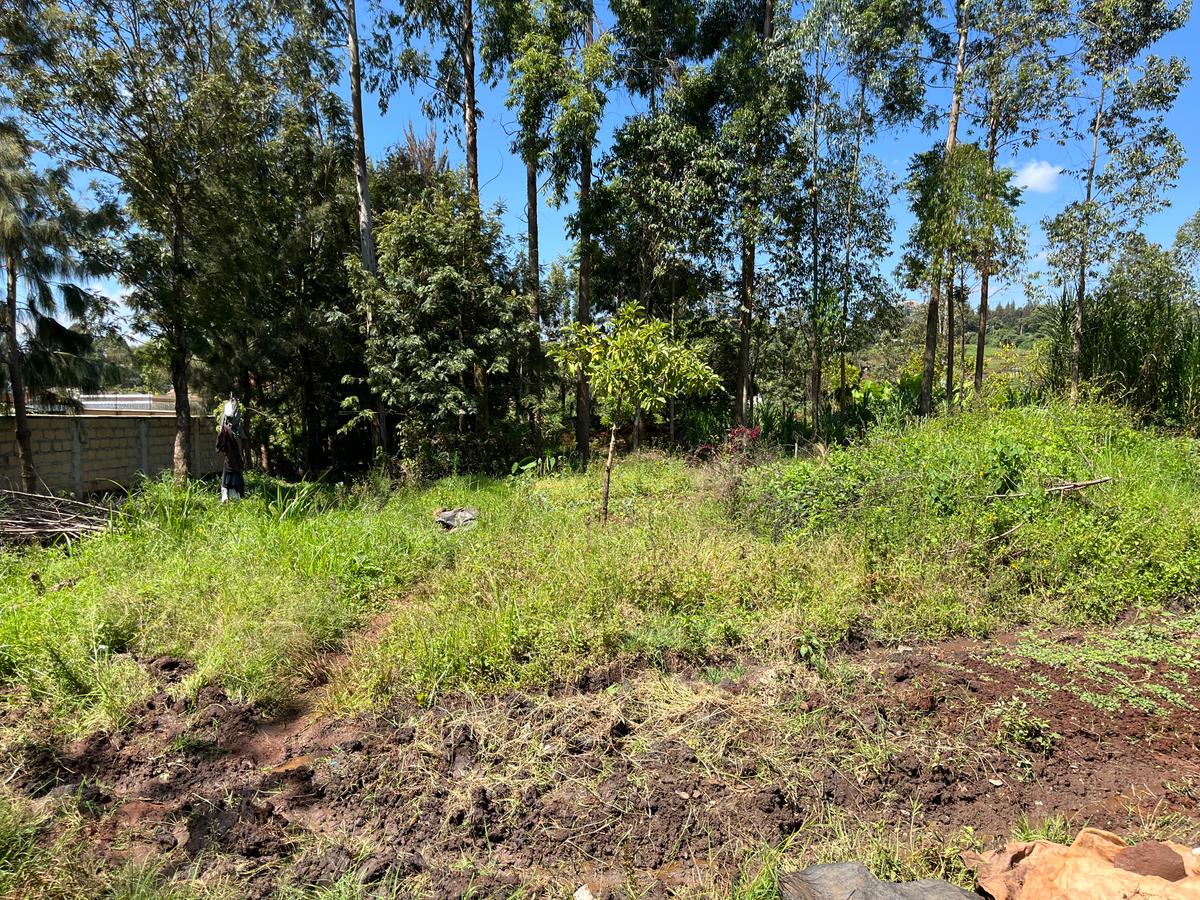 0.5 ac Land in Loresho - 3