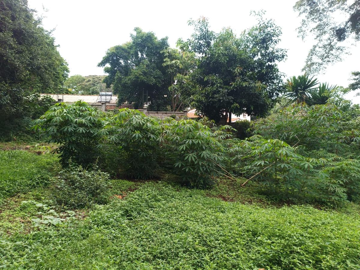 1 ac Land at Old Muthaiga Estate - 3