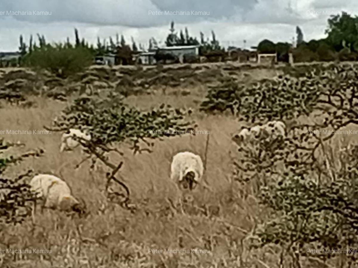 50 ac Land in Konza City - 2