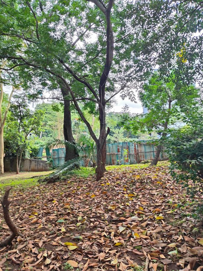 2 ac Land at Lantana Road - 2