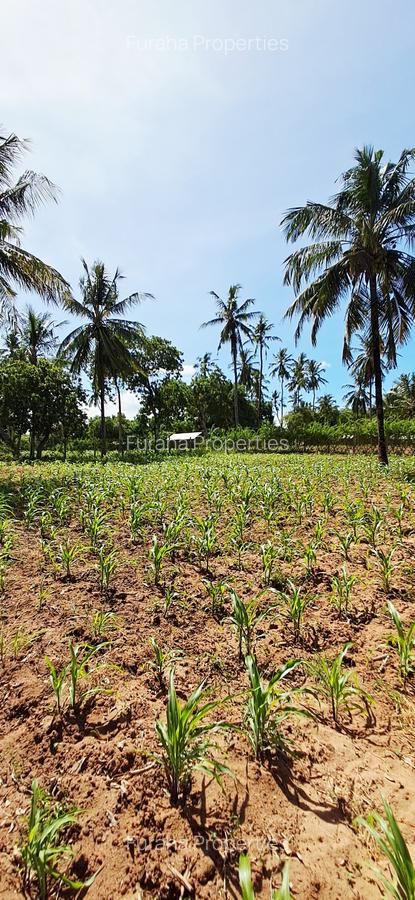 Land at Kilifi Tezo - 15