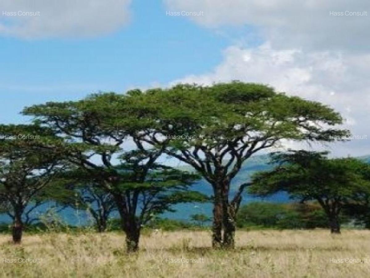 161,880 m² Land at Pipeline Road - 3