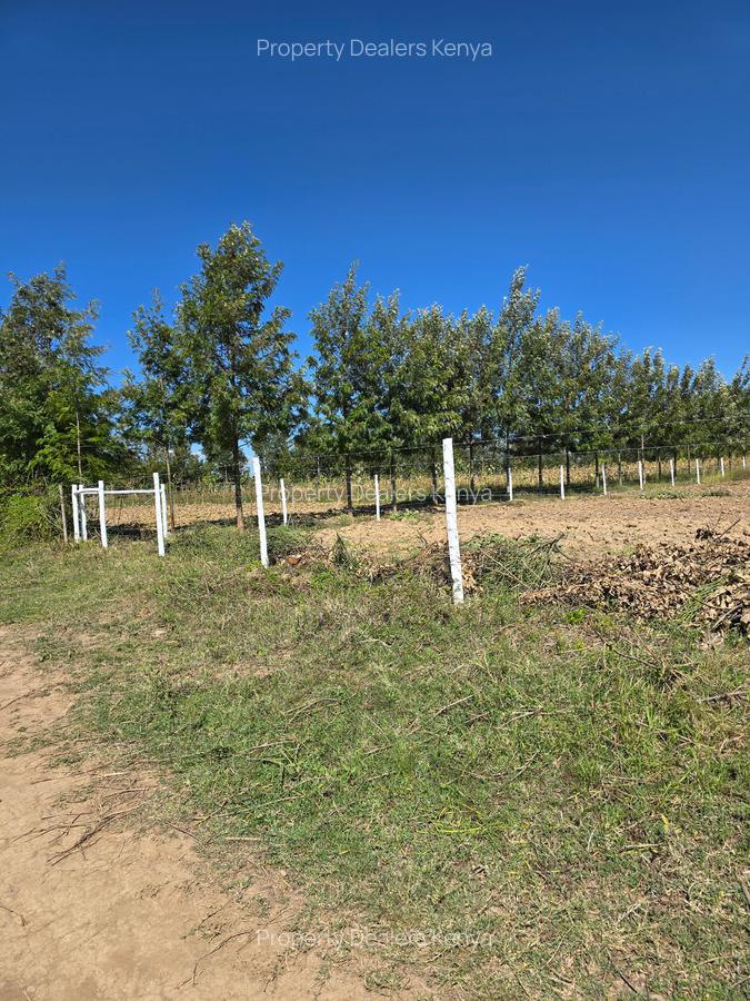 505 ac Residential Land at Burguret - 4
