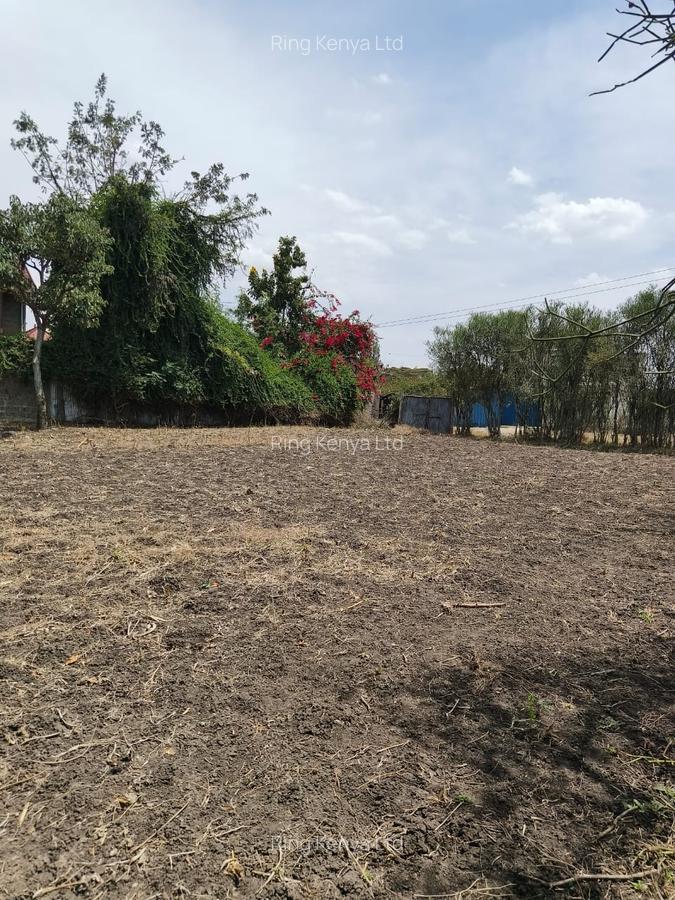 0.25 ac Land in Ruai - 4