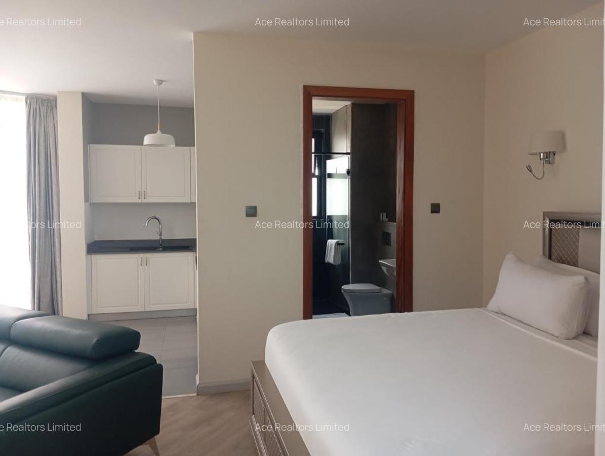 Furnished Studio Apartment with Swimming Pool at Muthangari Drive - 7