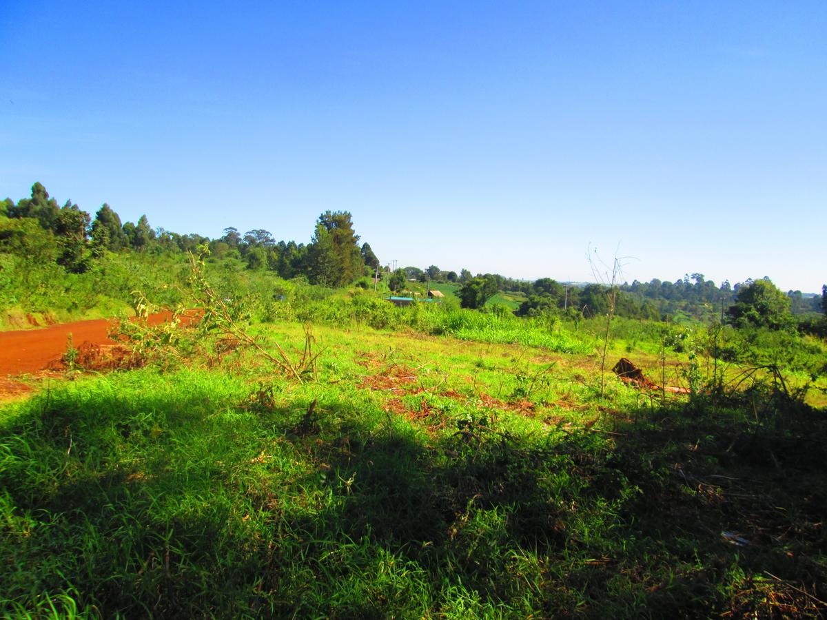 0.25 ac Residential Land at St. Julian Ack Center - 5